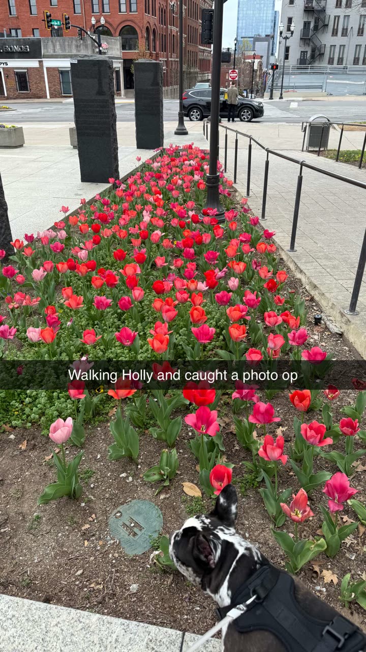 realhaylujan snapchat image archive image