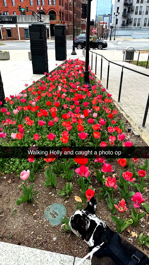 realhaylujan image ~ Altpins