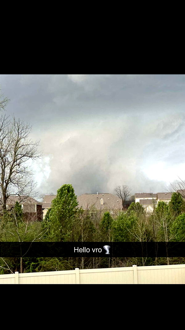 realhaylujan image ~ Altpins