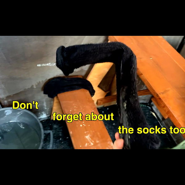 realhaylujan image ~ Altpins