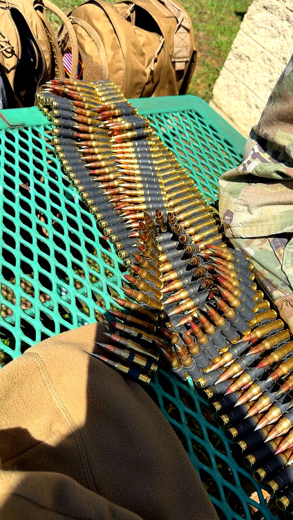 realhaylujan image ~ Altpins