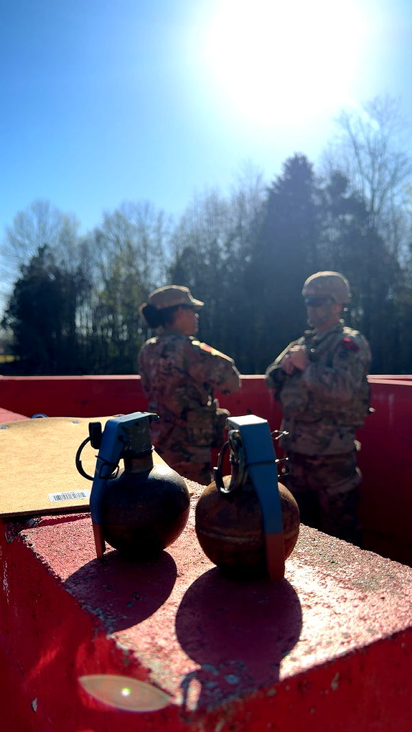 realhaylujan image ~ Altpins