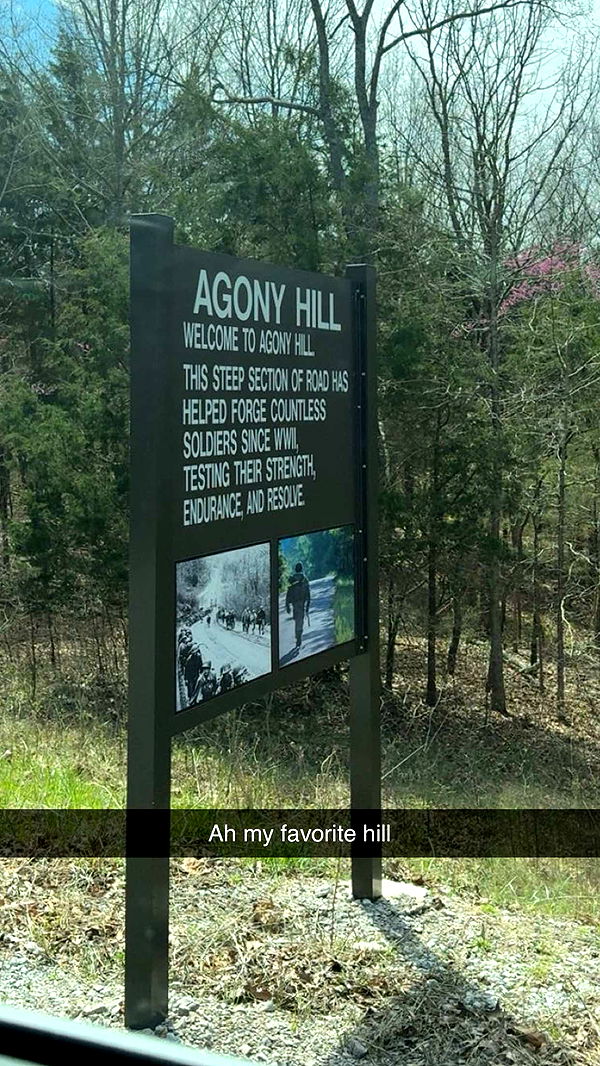 realhaylujan image ~ Altpins