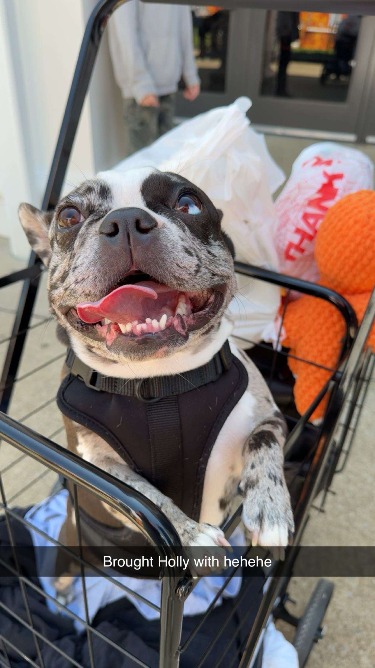 realhaylujan snapchat image archive image