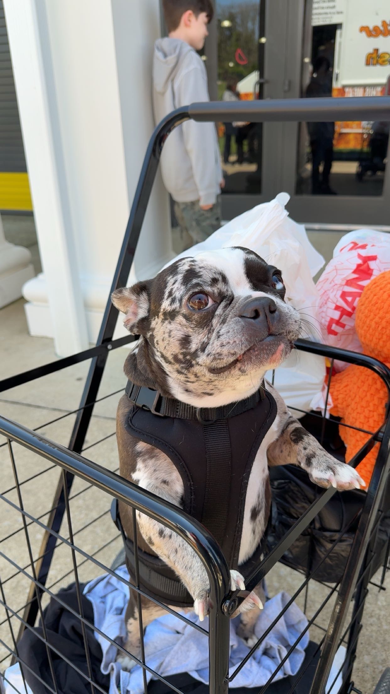 realhaylujan snapchat image archive image