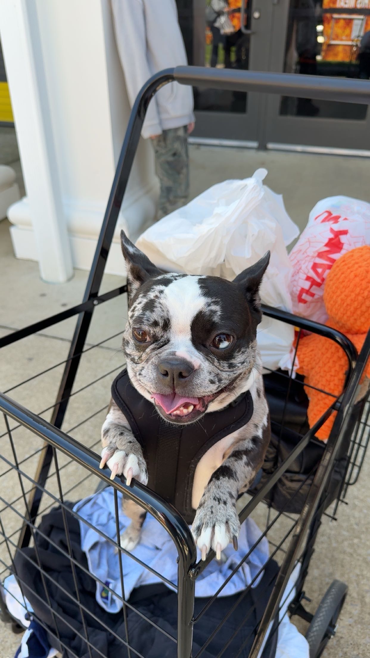 realhaylujan snapchat image archive image