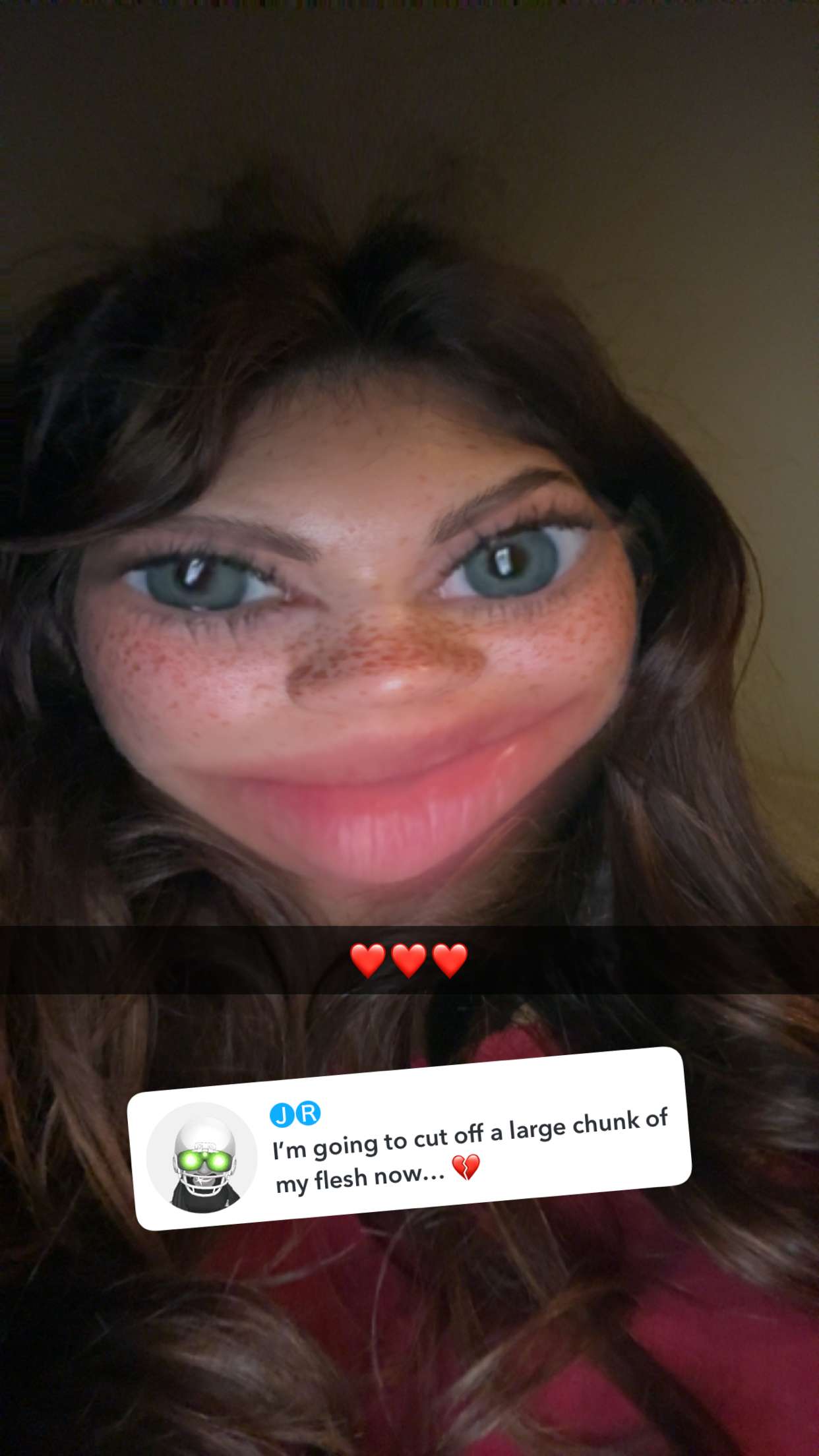 realhaylujan snapchat image archive image