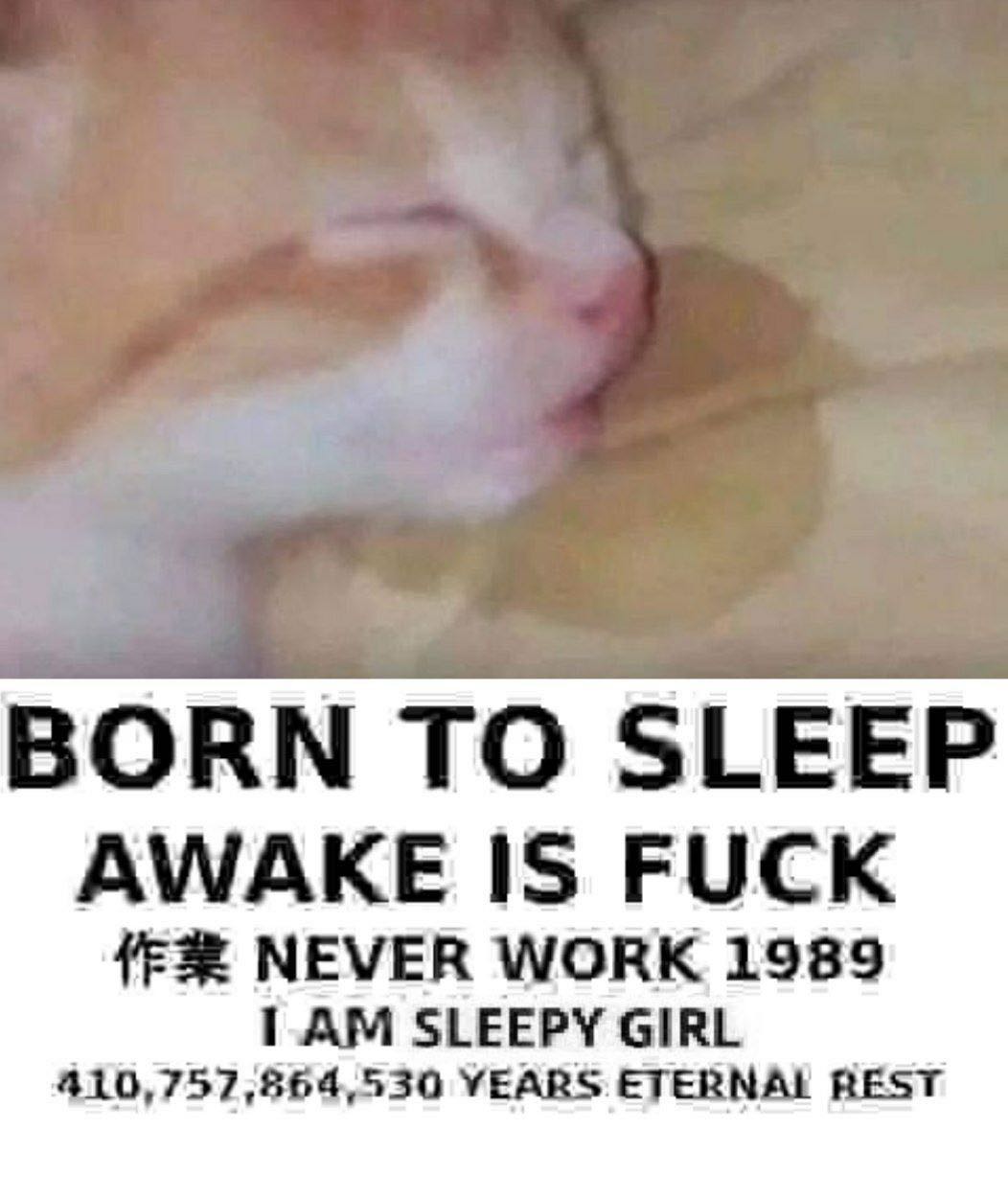 realhaylujan snapchat image archive image