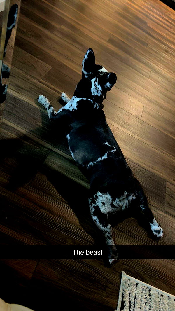 realhaylujan image ~ Altpins