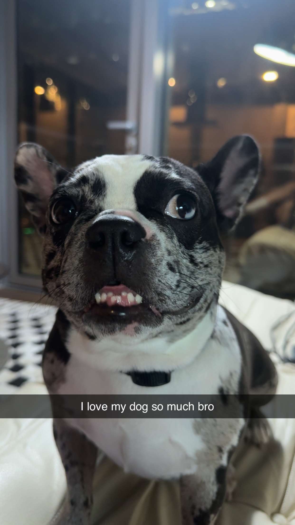 realhaylujan snapchat image archive image