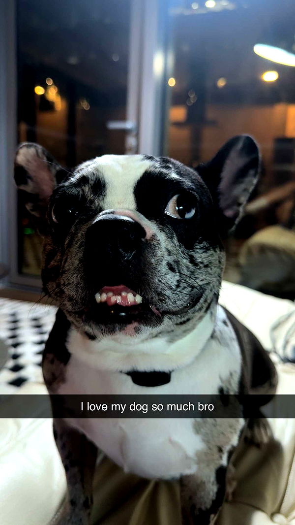 realhaylujan image ~ Altpins