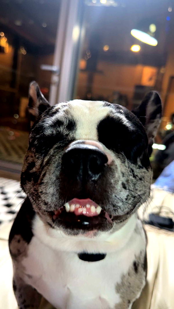 realhaylujan image ~ Altpins