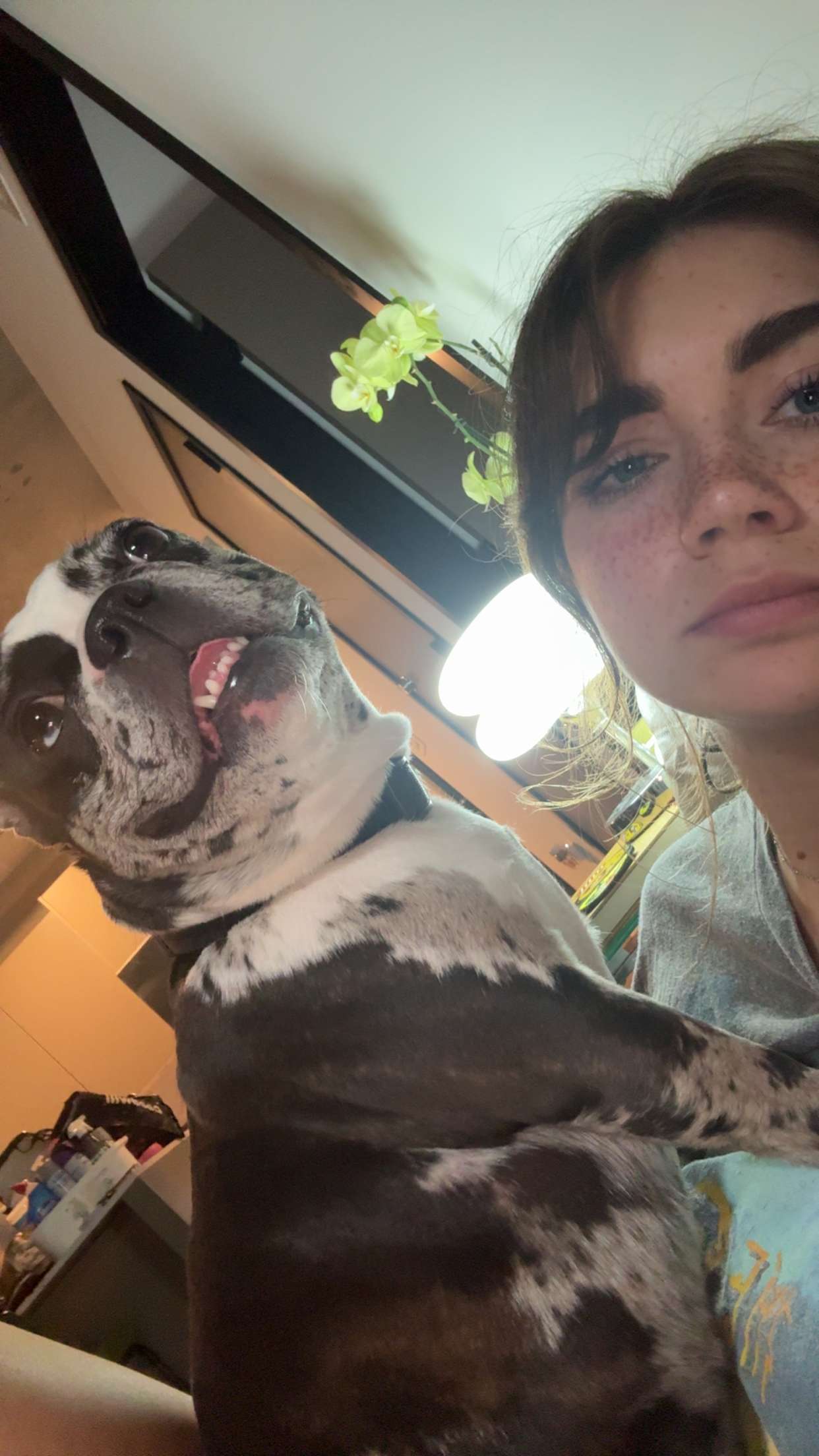 realhaylujan snapchat image archive image