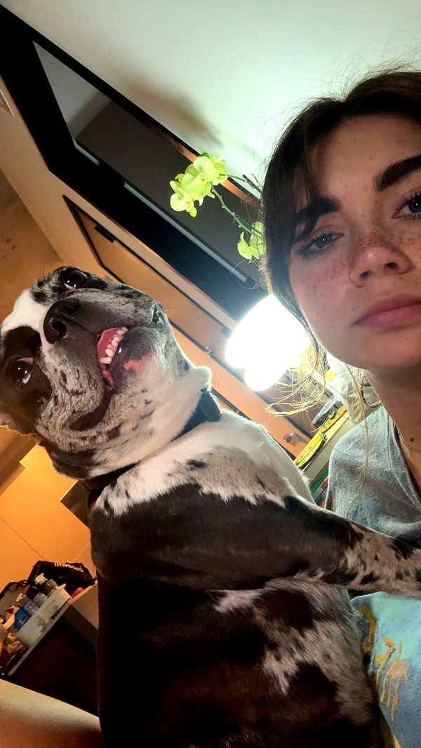 realhaylujan image ~ Altpins