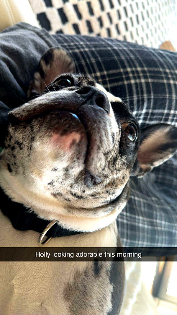 realhaylujan image ~ Altpins