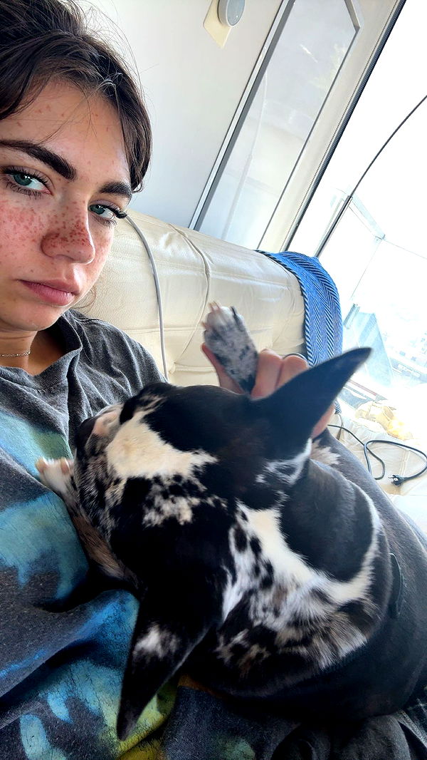 realhaylujan image ~ Altpins