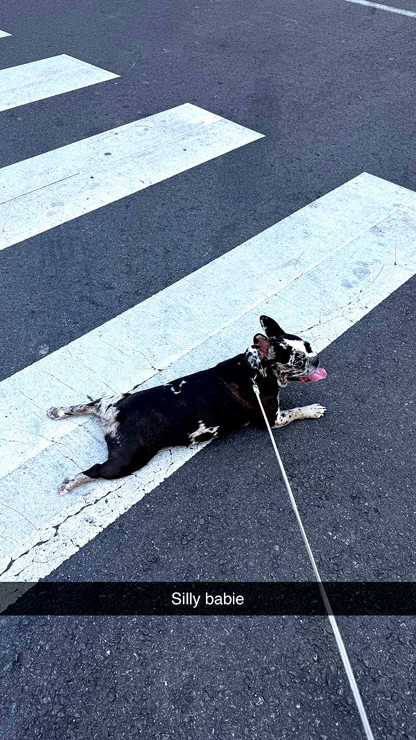 realhaylujan image ~ Altpins