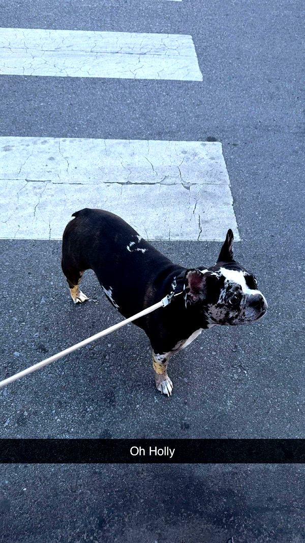 realhaylujan image ~ Altpins