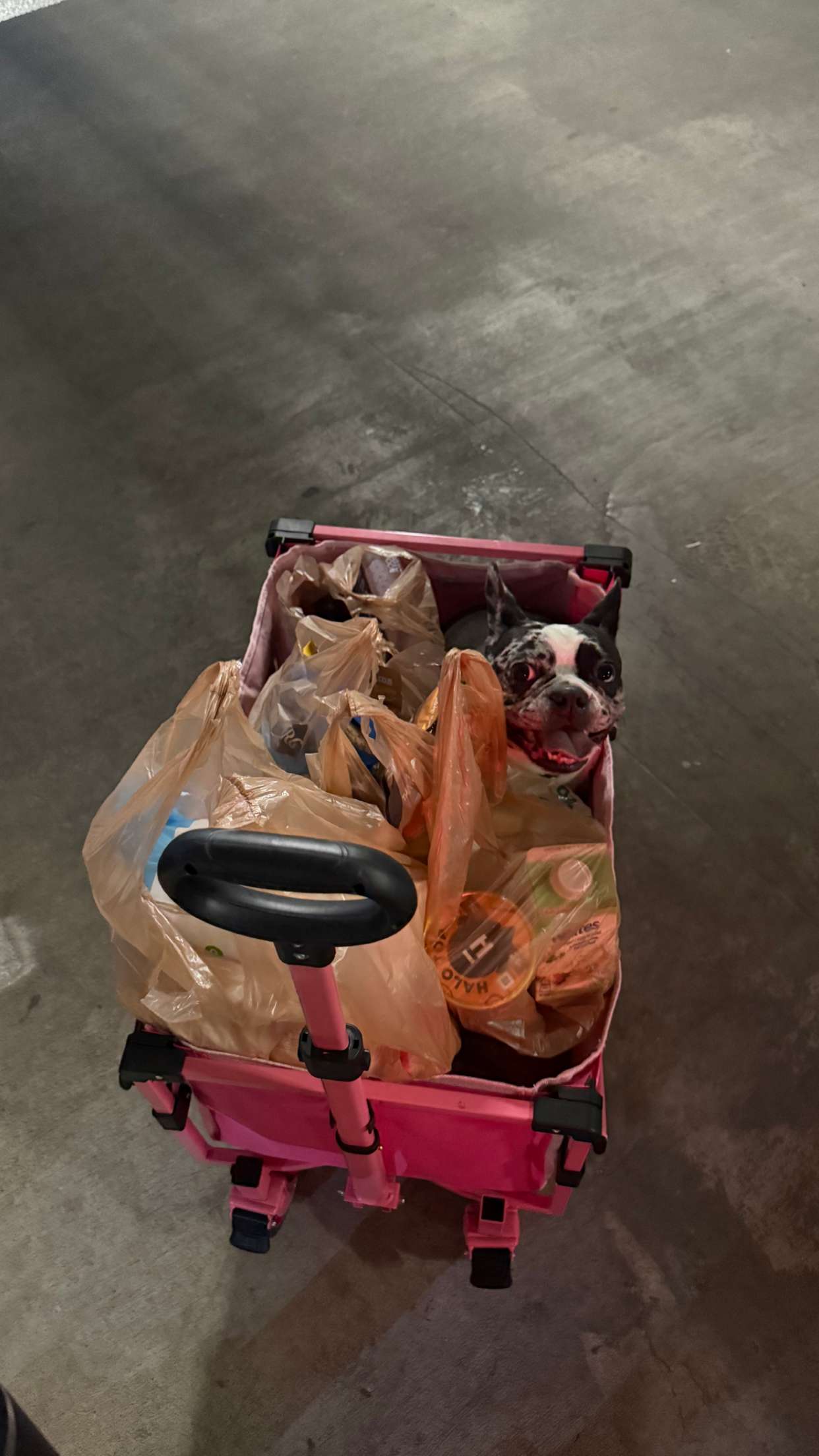 realhaylujan snapchat image archive image