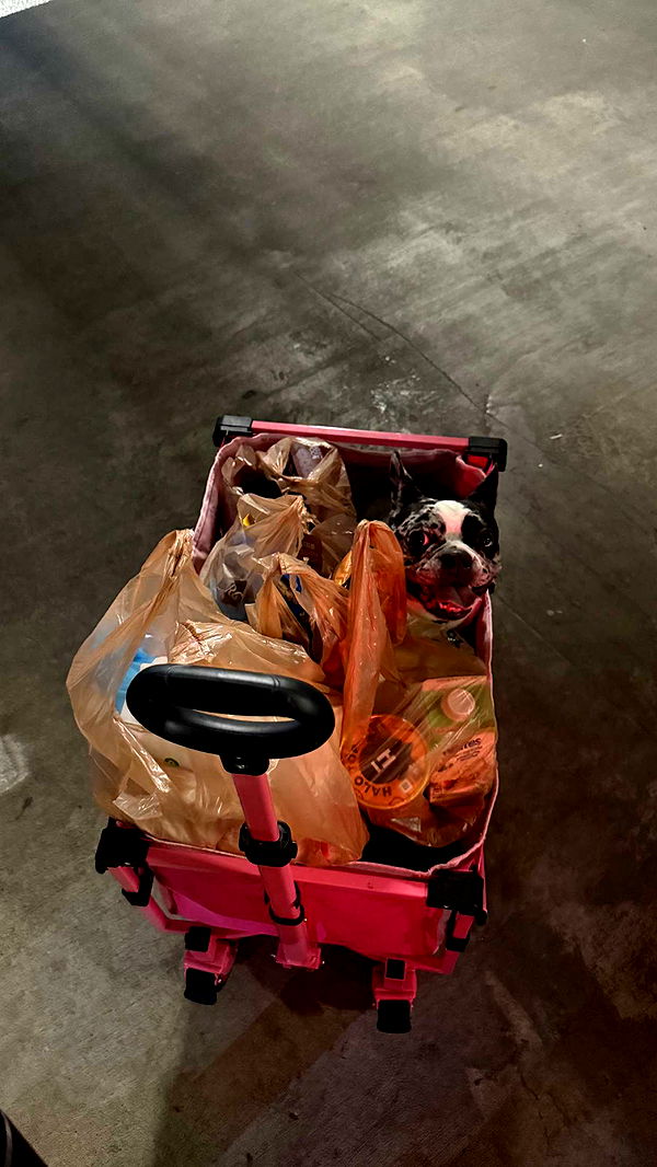 realhaylujan image ~ Altpins