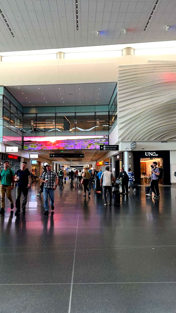 realhaylujan image ~ Altpins