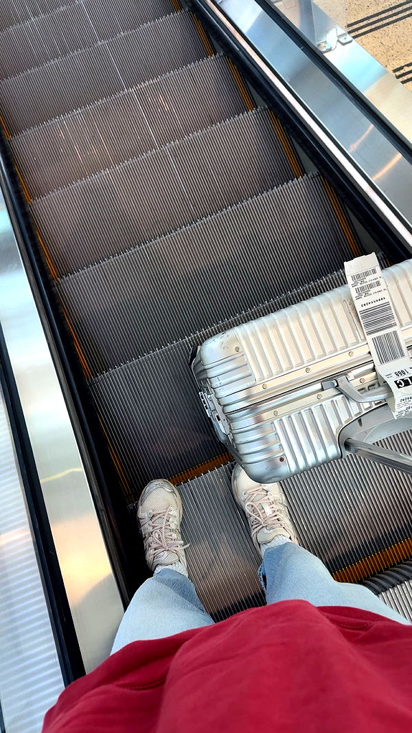 realhaylujan image ~ Altpins