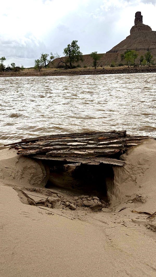 realhaylujan image ~ Altpins