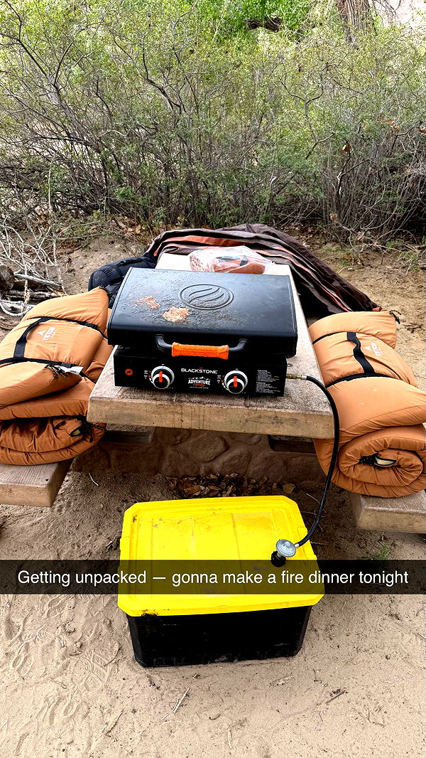 realhaylujan image ~ Altpins