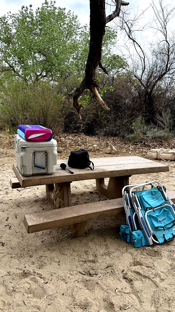 realhaylujan image ~ Altpins