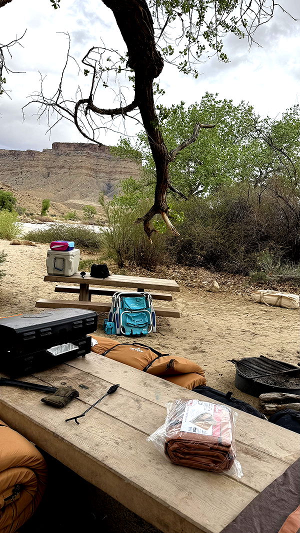 realhaylujan image ~ Altpins