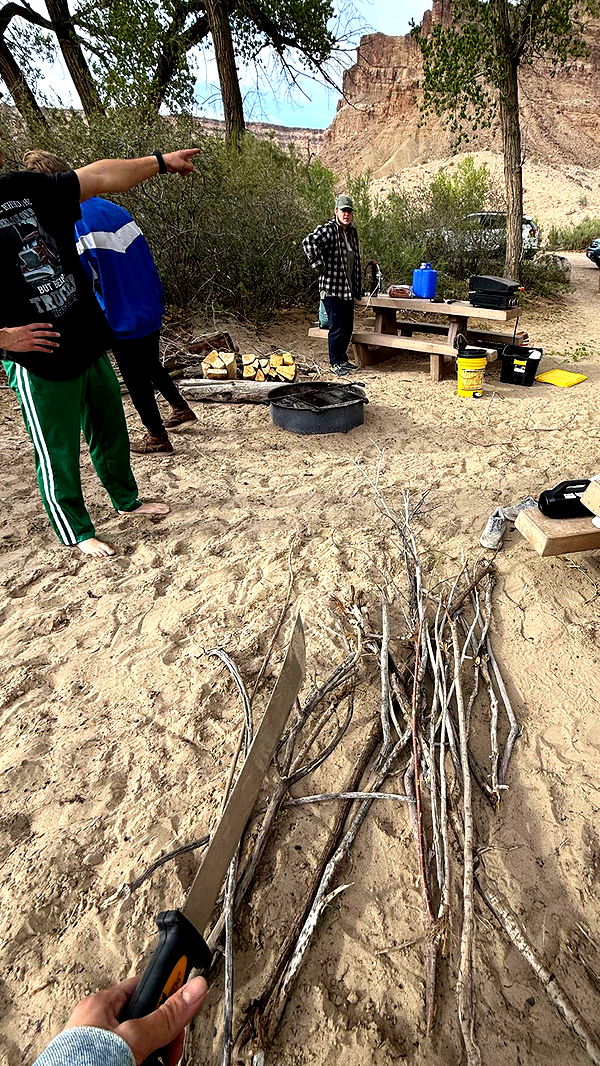 realhaylujan image ~ Altpins