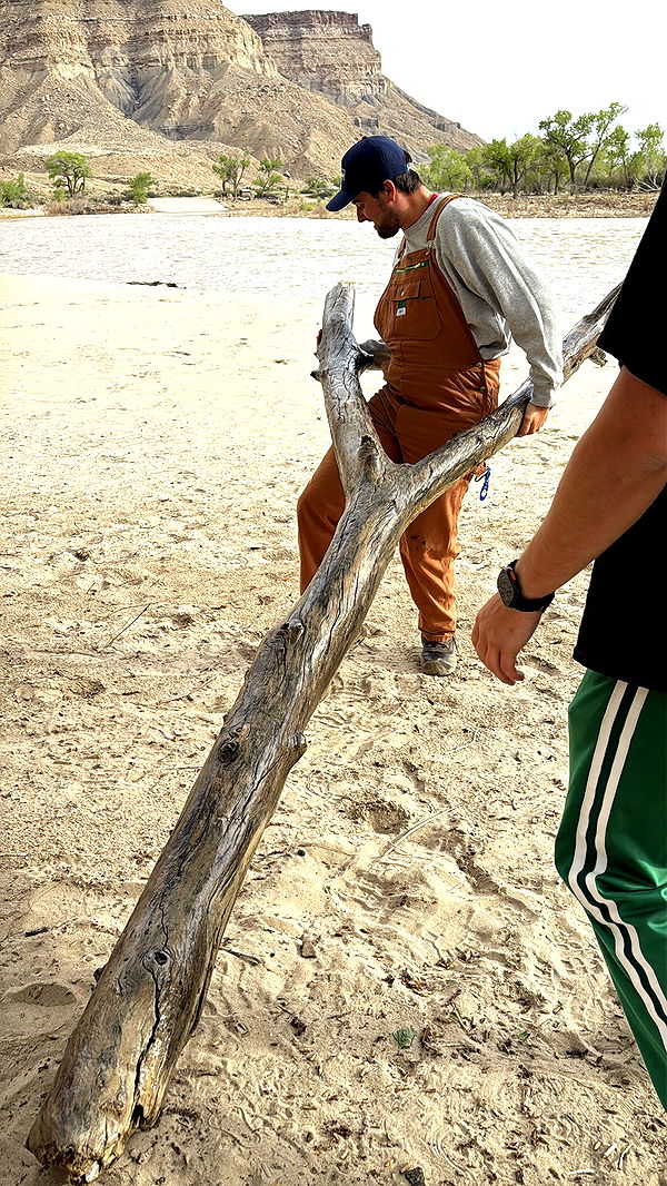 realhaylujan image ~ Altpins