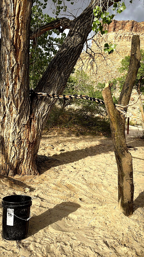 realhaylujan image ~ Altpins