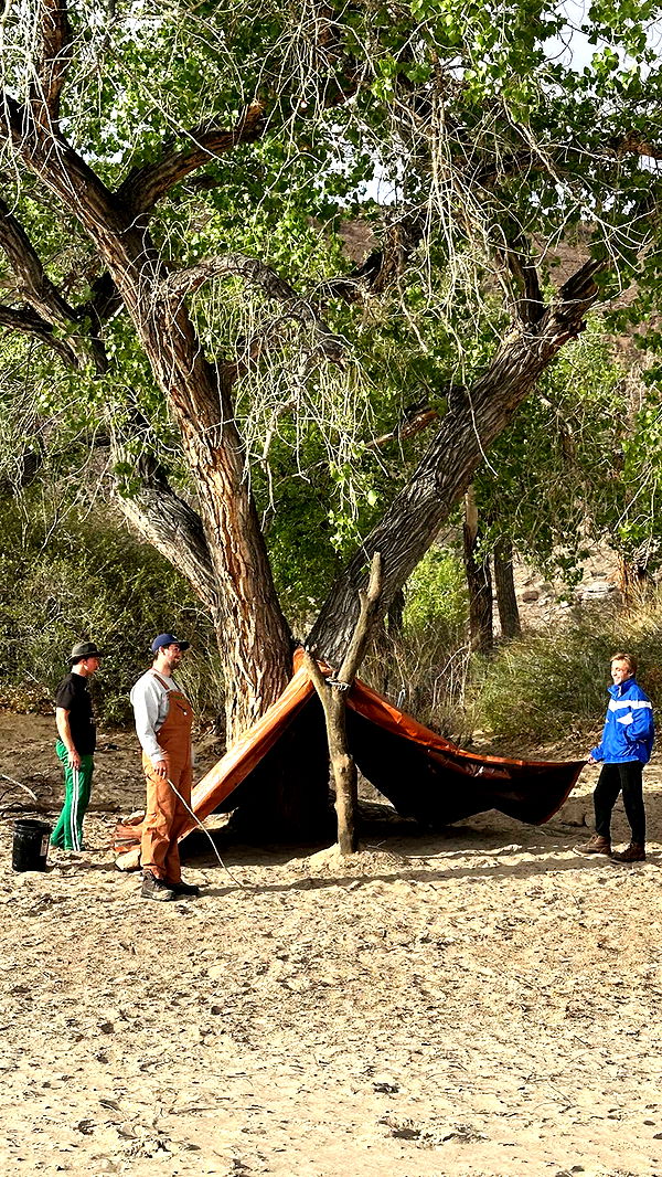 realhaylujan image ~ Altpins