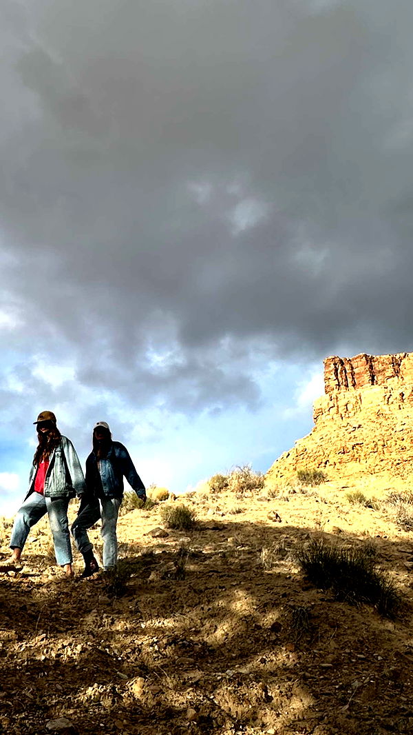 realhaylujan image ~ Altpins