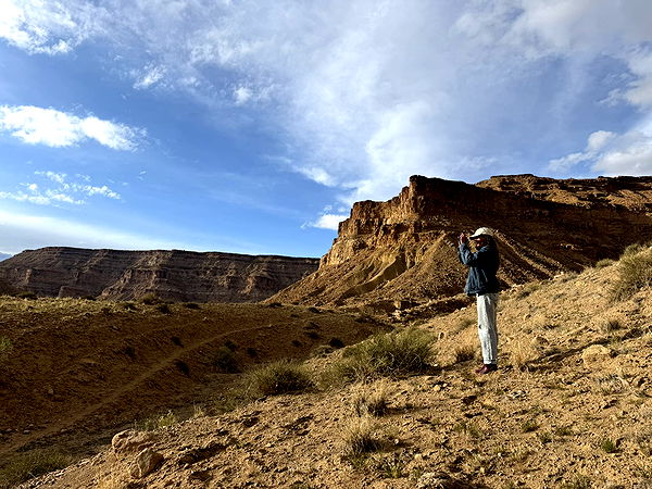 realhaylujan image ~ Altpins