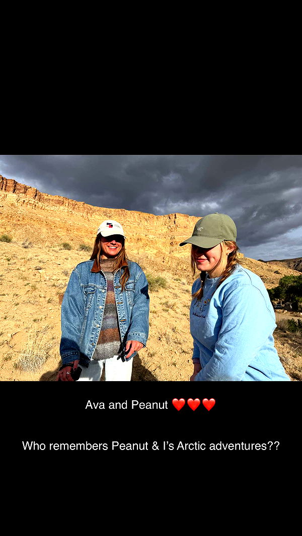 realhaylujan image ~ Altpins