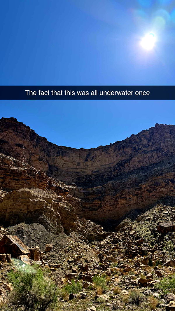 realhaylujan image ~ Altpins