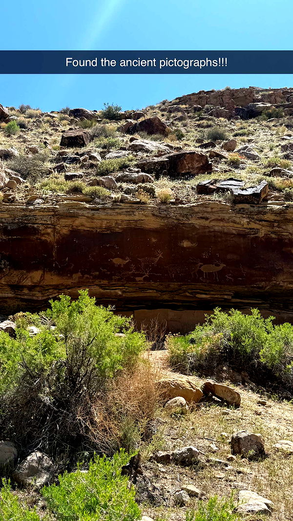 realhaylujan image ~ Altpins