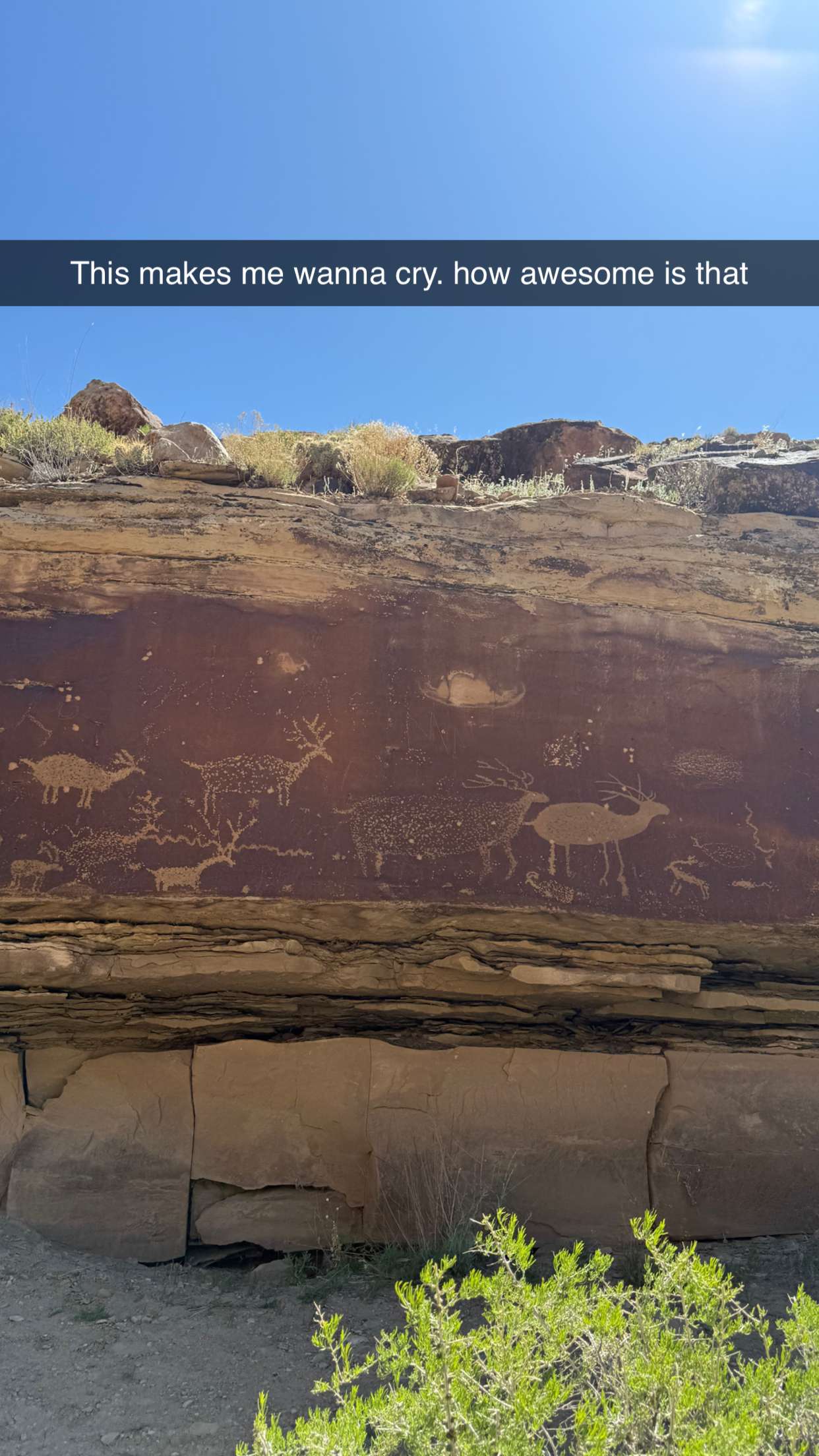 realhaylujan snapchat image archive image