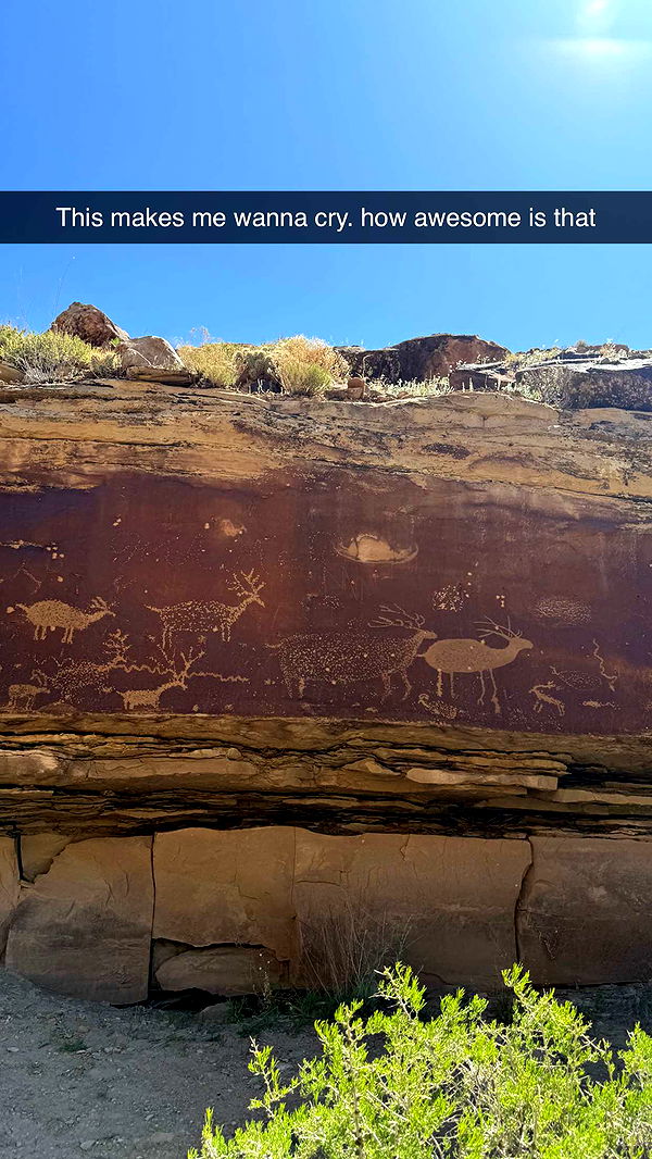 realhaylujan image ~ Altpins