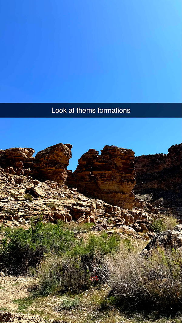 realhaylujan image ~ Altpins