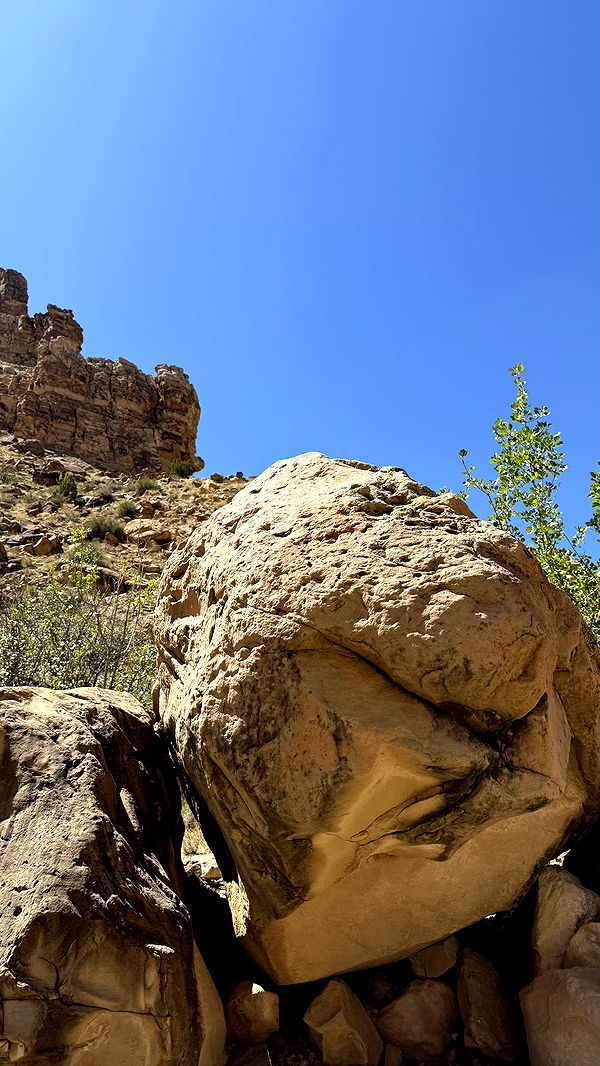 realhaylujan image ~ Altpins