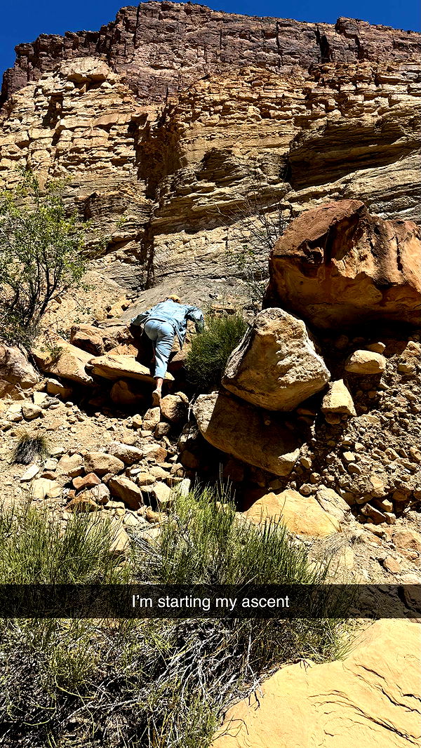 realhaylujan image ~ Altpins