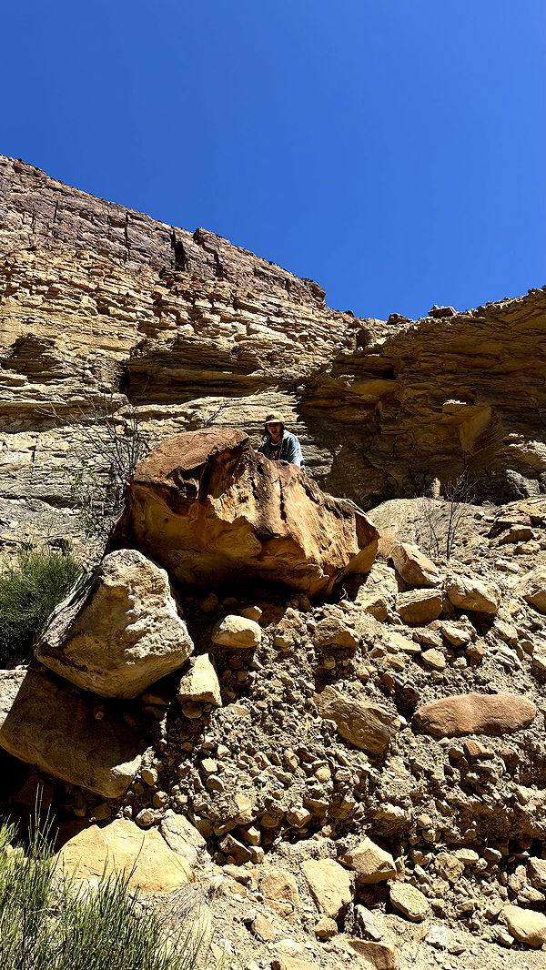 realhaylujan image ~ Altpins