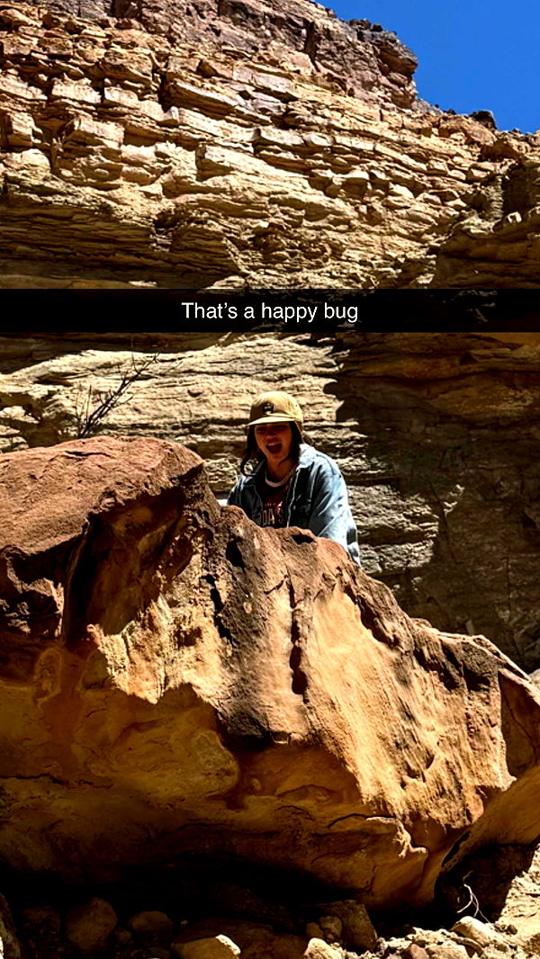 realhaylujan image ~ Altpins