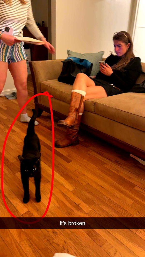 realhaylujan image ~ Altpins