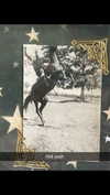 realhaylujan Altpins Profile Picture