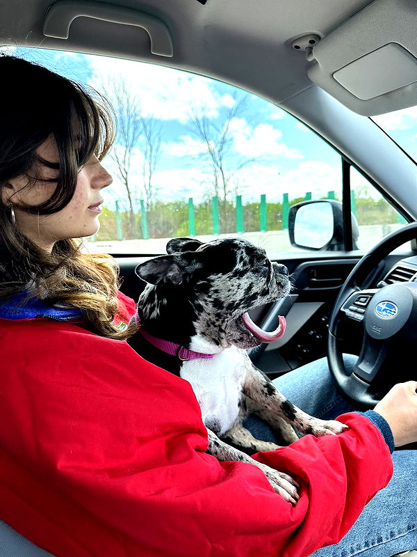 realhaylujan image ~ Altpins