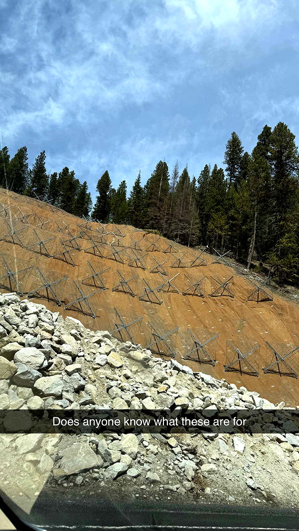 realhaylujan image ~ Altpins